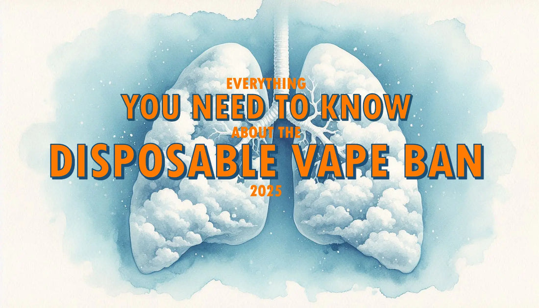 Everything you need to know about the Disposable Vape Ban 2025
